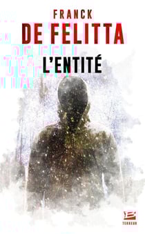 L'Entité