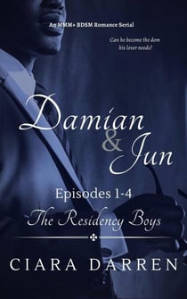Damian &amp; Jun: Episodes 1-4 - The Residency Boys, #6