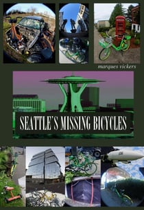 Seattle’s Missing Bicycles