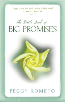 The Little Book of Big Promises - A Three-Step Process for Uncovering Your Soul's Plan