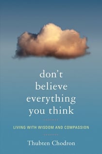 Don't Believe Everything You Think - Living with Wisdom and Compassion