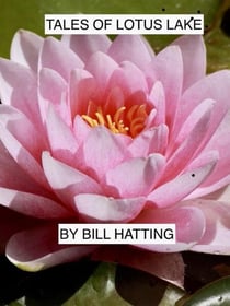 Tales of Lotus Lake