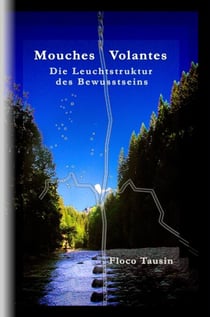 Mouches Volantes - Die Leuchtstruktur des Bewusstseins