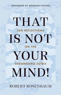 That Is Not Your Mind! - Zen Reflections on the Surangama Sutr