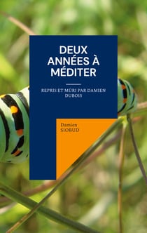 Deux Années à Méditer - Repris et mûri par Damien Dubois