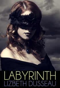 Labyrinth - An Erotic BDSM Novel