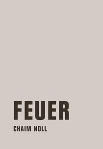 Feuer - Roman