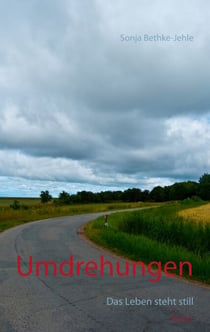 Umdrehungen - Das Leben steht still: Teil 1 des romantischen Schicksalsdramas um Ben und Zita
