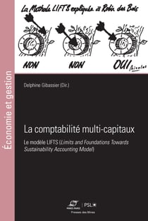 La comptabilité multi-capitaux - Le modèle lifts (limits and foundations towards sustainability accounting mode)