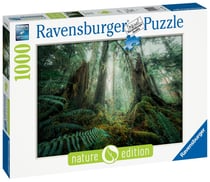 Puzzle 1000 pièces - En forêt