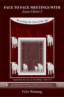 Face to Face Meetings With Jesus Christ 3: Revealing the End of the Age - Face to Face Meetings With Jesus Christ, #3