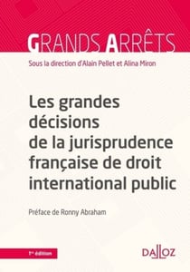 Les grandes décisions de la jurisprudence française de DIPublic (N) - 1re édition