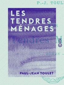 Les Tendres Ménages - Roman