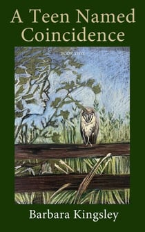 A Teen Named Coincidence - A Girl Named Coincidence, #2