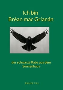 Ich bin Bréan mac Grianán - der schwarze Rabe aus dem Sonnenhaus