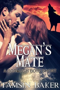 Megan's Mate - The Borough Boys, #4