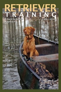 Retriever Training - A Back-To-Basics Approach