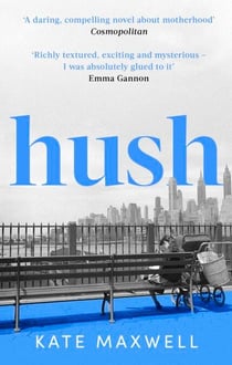 Hush - The heartbreaking and life-affirming debut novel which tells the truth about motherhood
