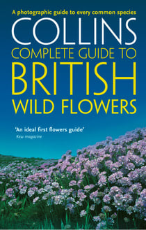 British Wild Flowers - A photographic guide to every common species