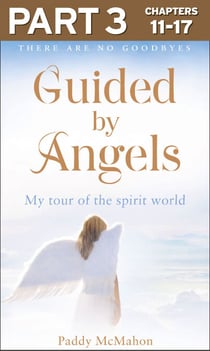 Guided By Angels: Part 3 of 3 - There Are No Goodbyes, My Tour of the Spirit World