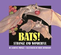 Bats! - Strange and Wonderful