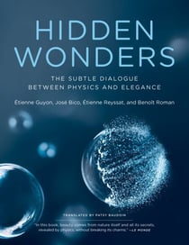 Hidden Wonders - The Subtle Dialogue Between Physics and Elegance
