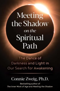 Meeting the Shadow on the Spiritual Path - The Dance of Darkness and Light in Our Search for Awakening