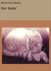 Der Kater