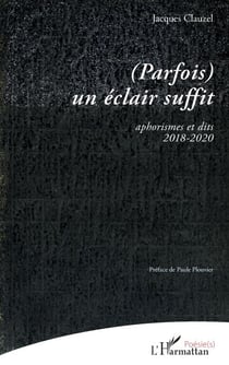 (Parfois) un éclair suffit - aphorismes et dits 2018-2020