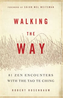 Walking the Way - 81 Zen Encounters with the Tao Te Ching