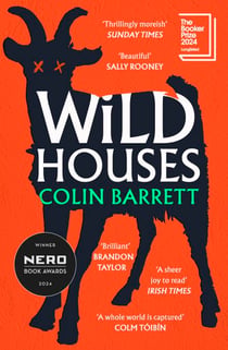 Wild Houses - Discover the thrilling debut novel from the award winning Irish author