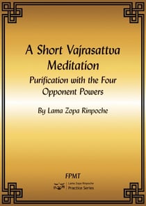 A Short Vajrasattva Meditation: Purification with the Four Opponent Powers eBook