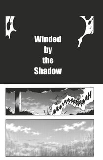Bleach - T66 - Chapitre 597 - WINDED BY THE SHADOW