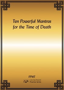 Ten Powerful Mantras for the Time of Death eBook