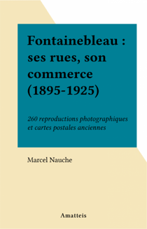 Fontainebleau : ses rues, son commerce (1895-1925) - 260 reproductions photographiques et cartes postales anciennes