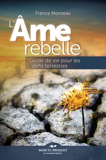 L'âme rebelle - Guide de vie pour les défis terrestres