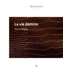 La vie domino - Une nouvelle dans les bidonvilles lyonnais