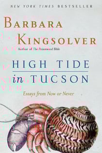 High Tide in Tucson - Essays from Now or Never