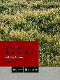 Fourmi Rousse 2951