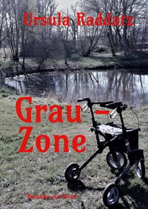 Grau-Zone - beinahe ein Krimi