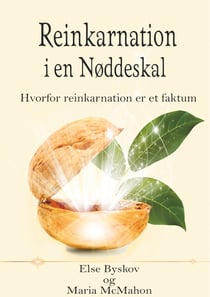 Reinkarnation i en Nøddeskal - Hvorfor reinkarnation er et faktum