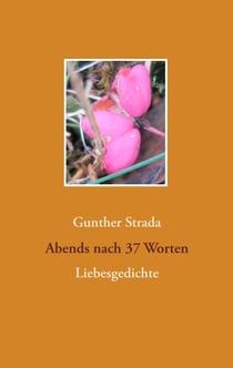Abends nach 37 Worten - Liebesgedichte