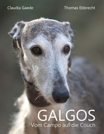 Galgos - Vom Campo auf die Couch