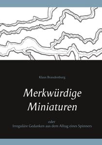 Merkwürdige Miniaturen - oder Irreguläre Gedanken aus dem Alltag eines Spinners