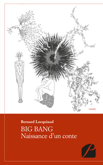 BIG BANG - Naissance d'un conte