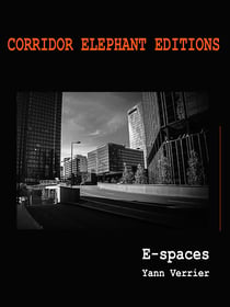 E-spaces - e-book photographique