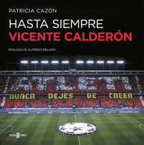 Hasta siempre, Vicente Calderón
