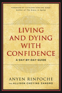 Living and Dying with Confidence - A Day-by-Day Guide