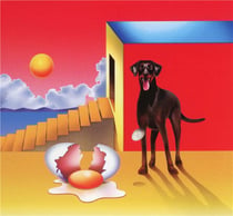 The dog and the future - CD