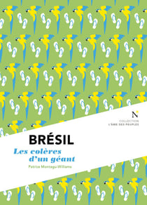 Brésil : Les colères d'un géant - L'Âme des peuples